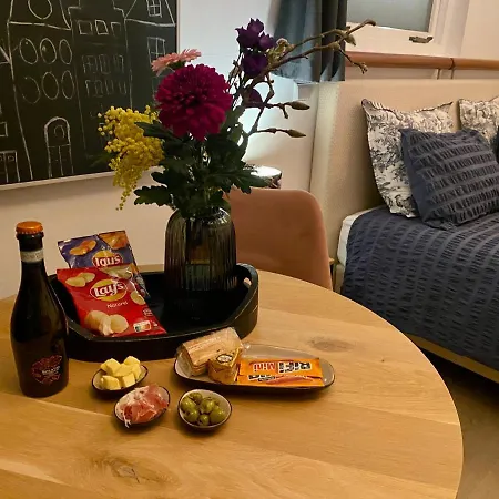 Style Gardenhouse Near Amsterdam, Haarlem, Zandvoort Gasthuis