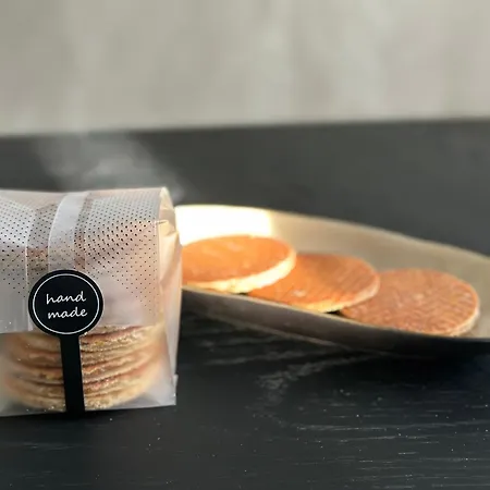 Style Gardenhouse Near Amsterdam, Haarlem, Zandvoort Gasthuis Zwanenburg