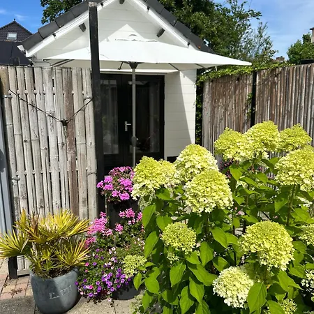 ゲストハウス Style Gardenhouse Near Amsterdam, Haarlem, Zandvoort